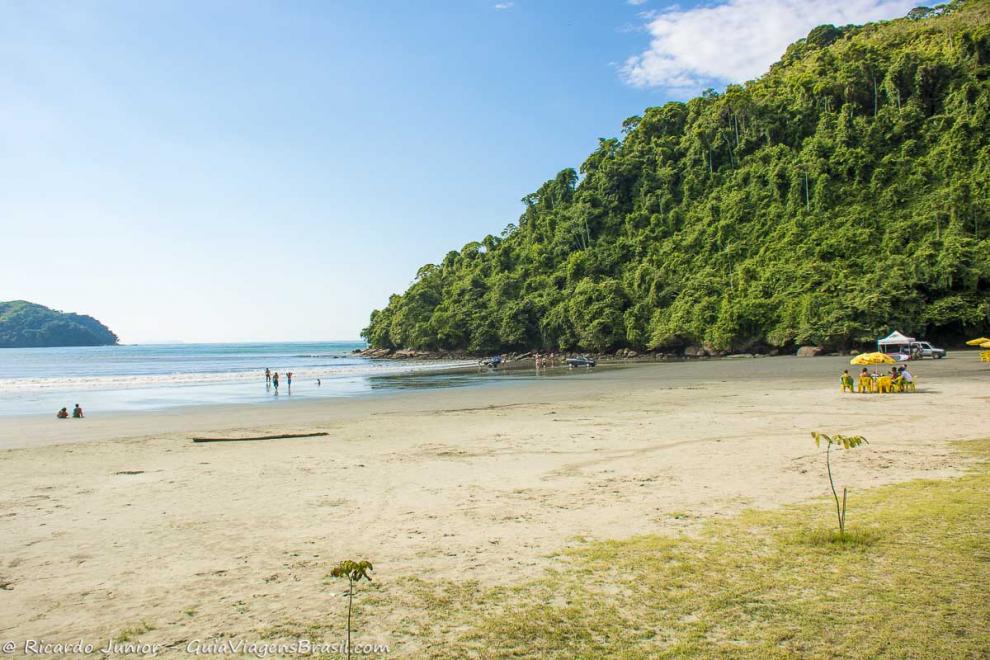 Imagem da linda vegetação do canto da Praia de Perequê Açu em Ubatuba.